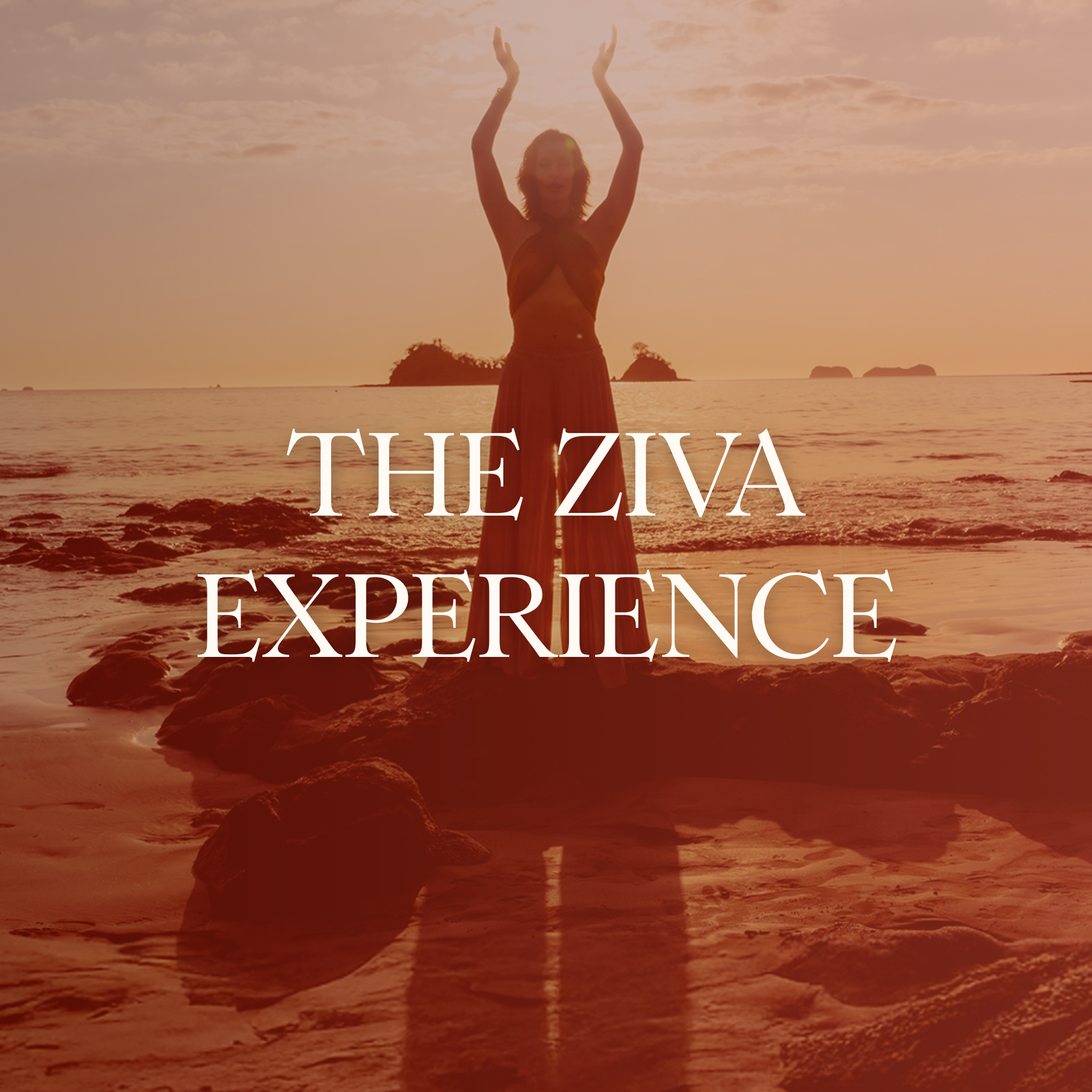 The Ziva Experience