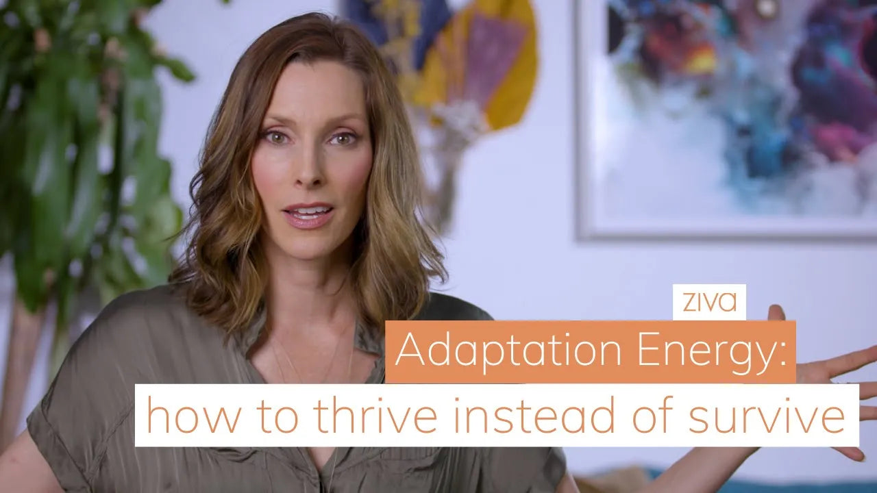 Adaptation Energy Adaption Energy: How to Thrive Instead of Survive – Ziva Meditation